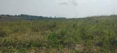 A picture of 10 ACRES OF LAND FOR SALE IN MUKONO SEETA AT