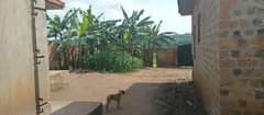 A picture of Gayaza kiwenda house on quick sale