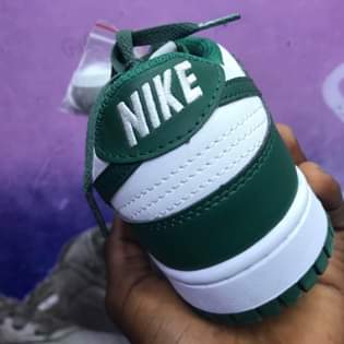 A picture of Nike