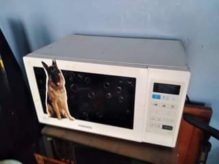 microwaves