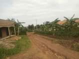 A picture of Kasangati nalusuga site Plot size 100by50ft 21m Plot size 70by50ft