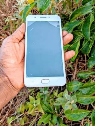 oppo f1