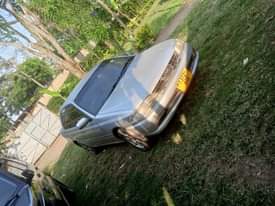 A picture of Carina 0767410504