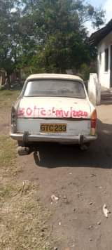 A picture of Pejiot