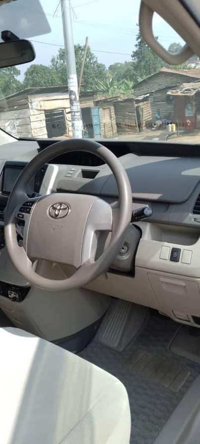 A picture of Noah model 2010