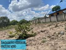 A picture of VIWANJA BAGAMOYO KEREGE