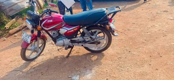 A picture of 2021 TV s star 125