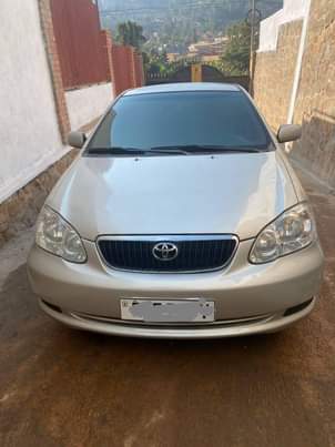 used toyota corolla