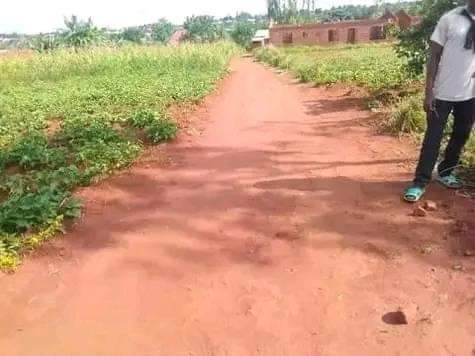 land