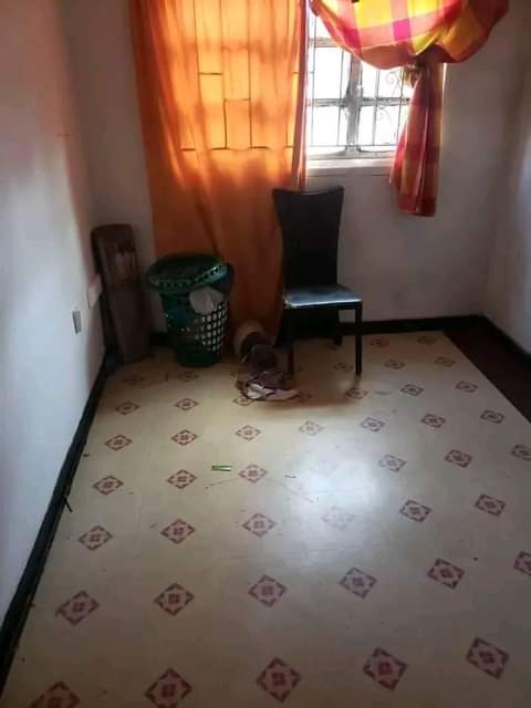 libala