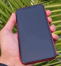 A picture of Iphone11 plain