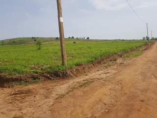 A picture of Kakiri Nsibamanyo estate on sale with titles