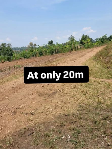 A picture of PLOTS IN KAKIRI