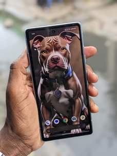 A picture of Google Pixel 7A