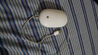 A picture of Apple mouse