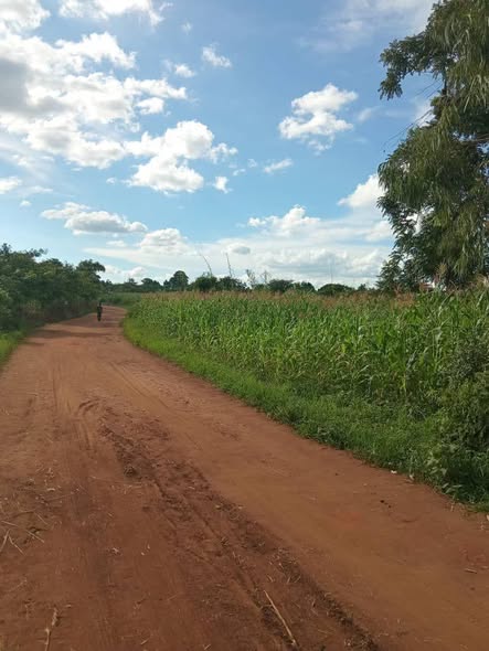 A picture of LAND FOR SALE SIZE 7 ACRES 265989849411