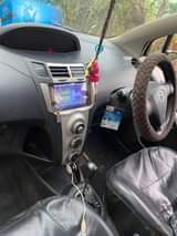 A picture of Vitz