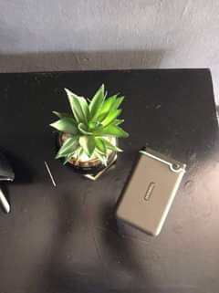 A picture of Transcend External