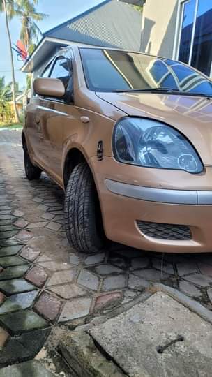 A picture of Vitz