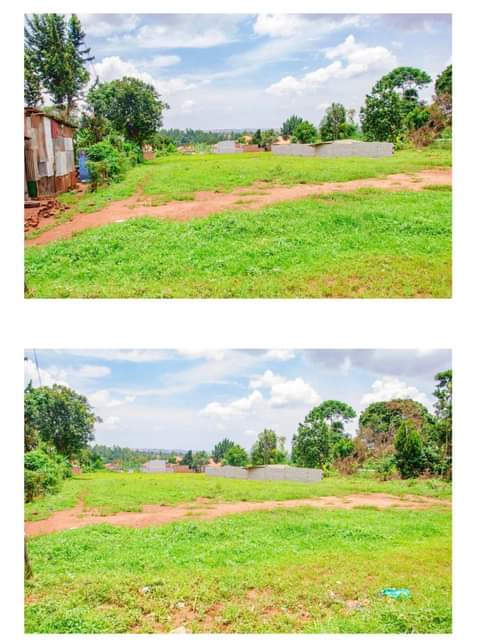 A picture of Plots for Sale