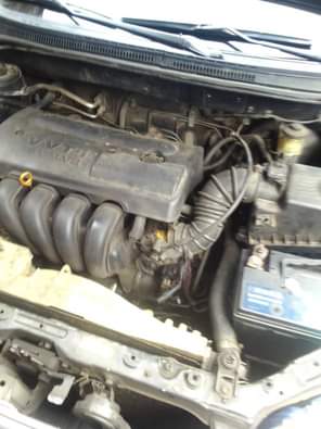 A picture of Toyota Corolla Sound Dealers food 2 750m 07035209019