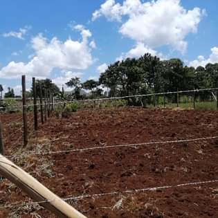 50 100 plots