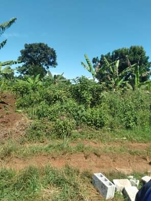 A picture of ANTI MR PROPERTY MANAGEMENT PLOTS FOR SALE LOCATED AT NAKAWUKA
