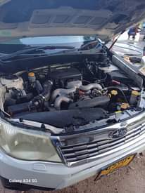 A picture of Subalu foresta XT