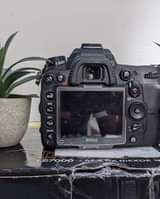 A picture of Nikon D7000