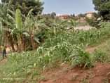 A picture of A plot measuring 22decimals for sale UGX190m in Kyanja Kungu.