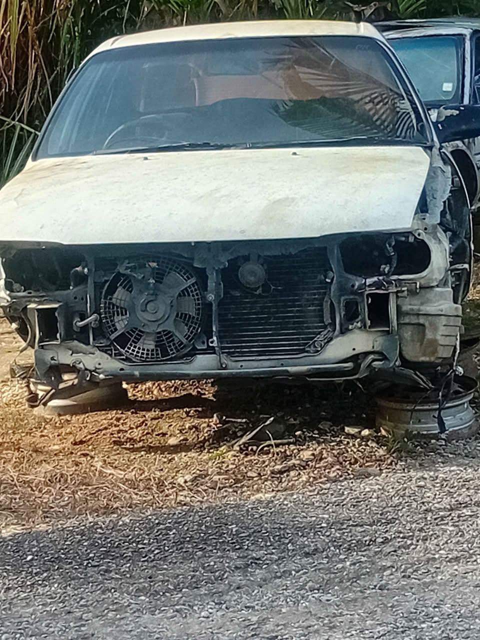 toyota 101