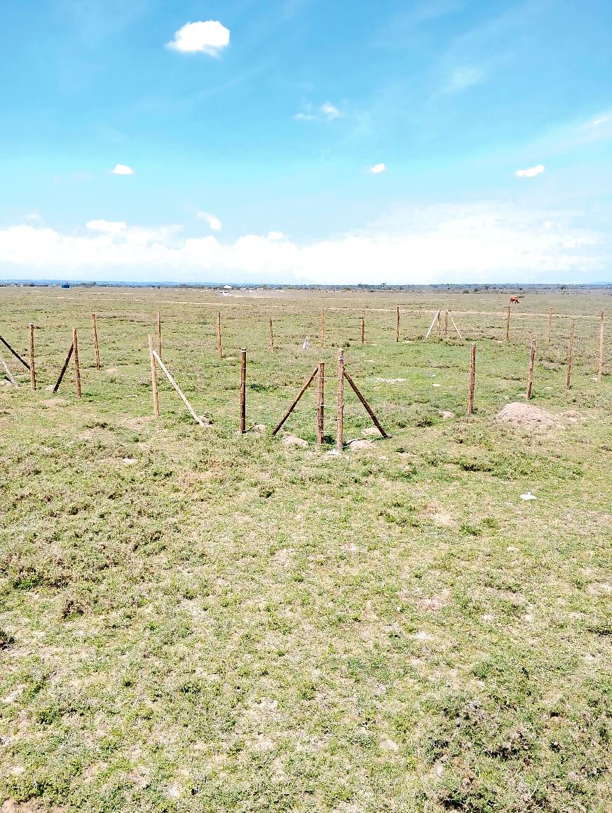 property with title deeds