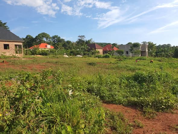 A picture of PLOTS FOR SALE IN MUKONO KATOSI ROAD
