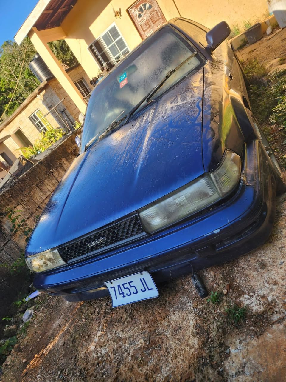 toyota levin