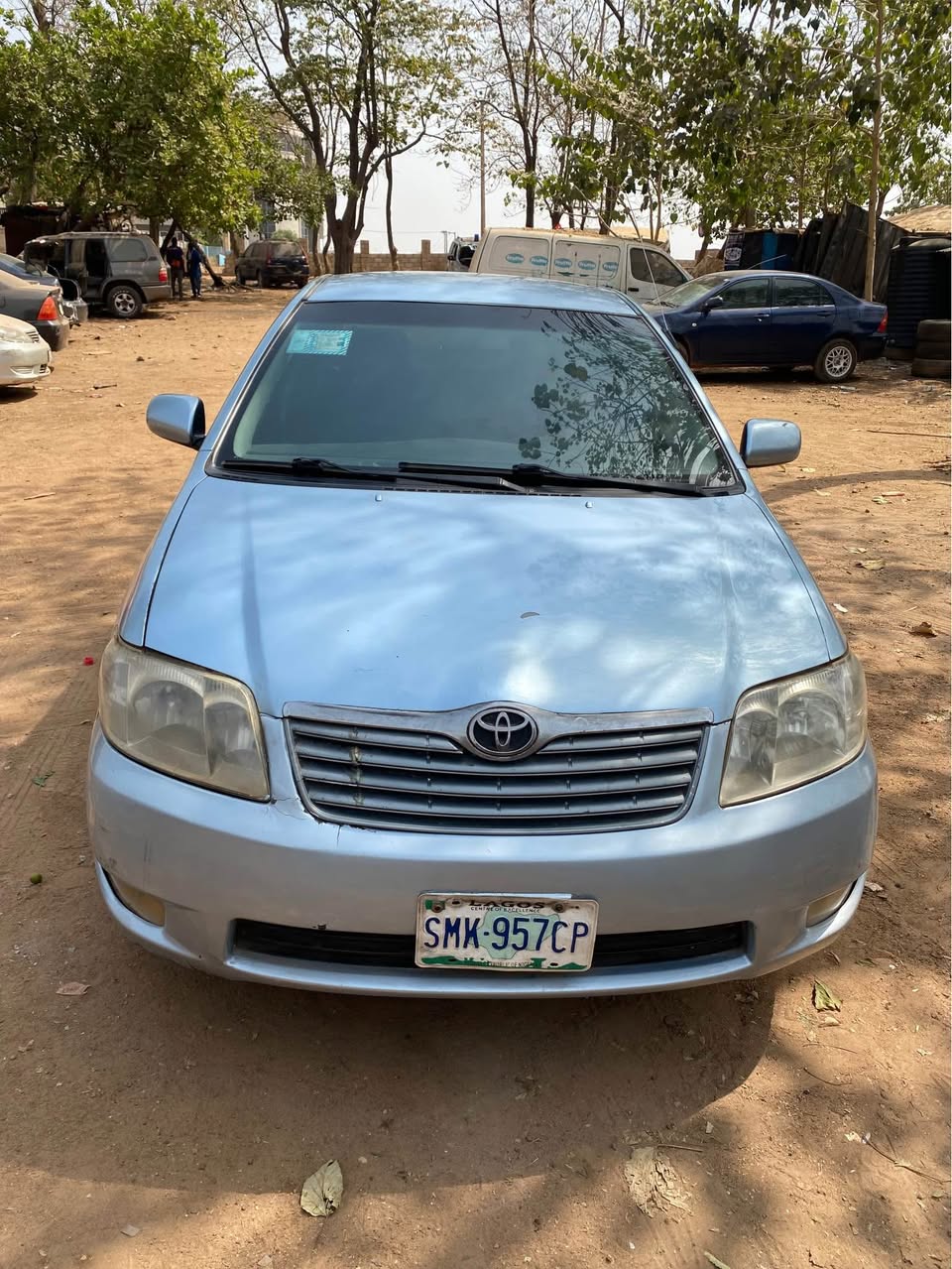 A picture of COROLLA BANK TYPE