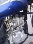 A picture of Boxer 150