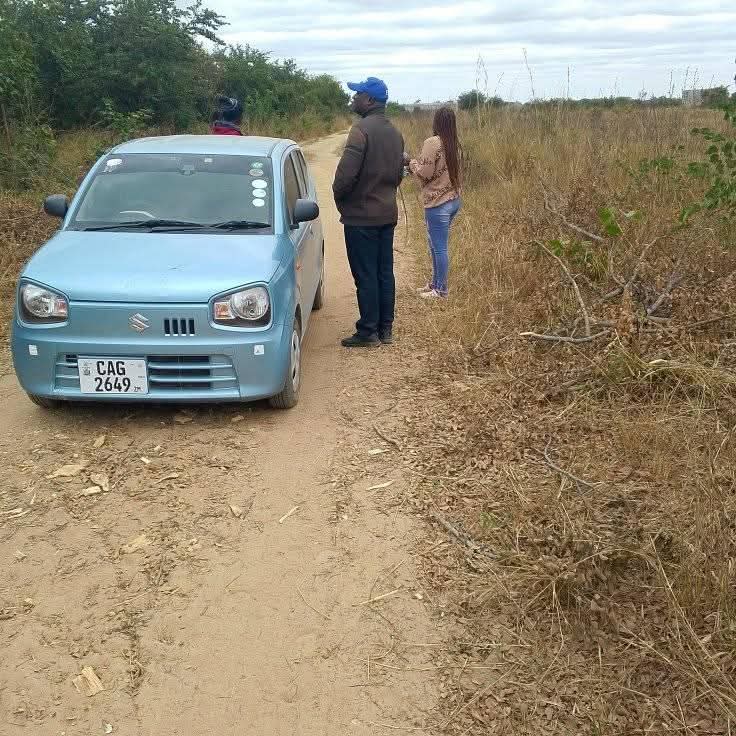 zambia plots