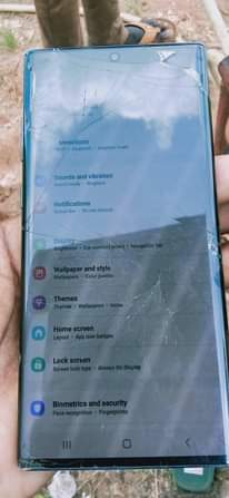 A picture of Galaxy not10 plus