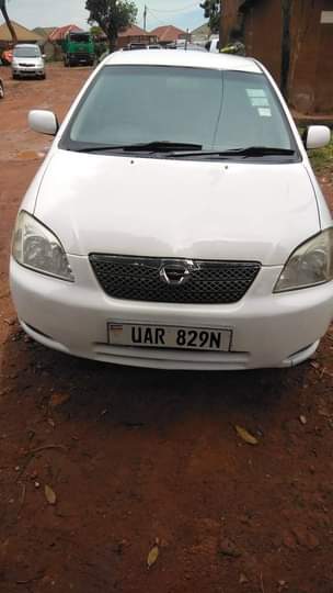 used toyota allex