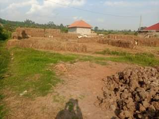 A picture of Plot for sale 200ft 200ft kasangti town at 60m