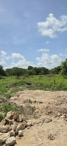 A picture of PRIME PLOTS FOR SALE IN MSABAHA MALINDI