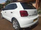 A picture of Polo