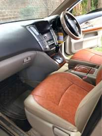 A picture of Harrier kawundo