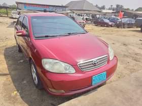 A picture of 5 6 Corolla in toks standard fast finger 2 4m