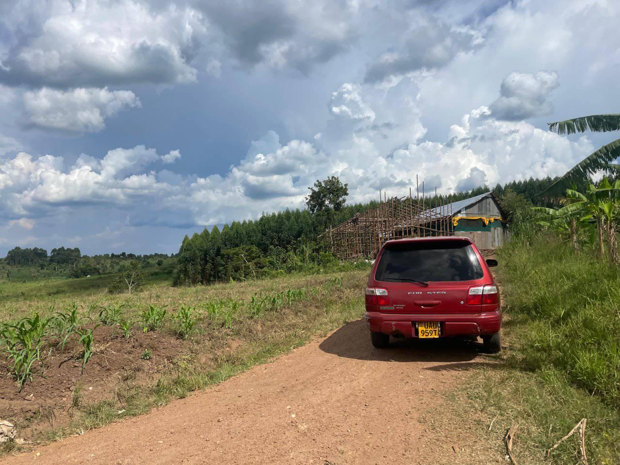 A picture of PRIME PLOTS LOCATED WAKISO GOBERO HOIMA ROAD