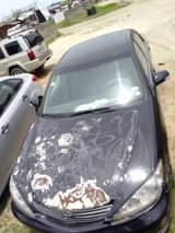 A picture of woof Awoof 2006 camry bigdaddy Engine tapping Gear sharp Ac