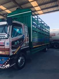A picture of Fuso