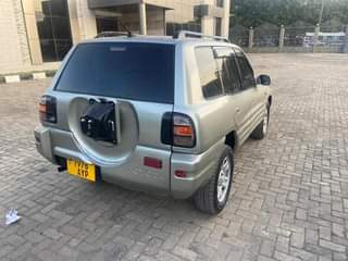 A picture of RAV4