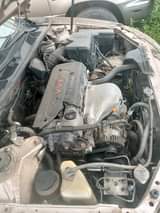 A picture of Camry big Daddy