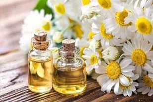 A picture of Chamomile Oil